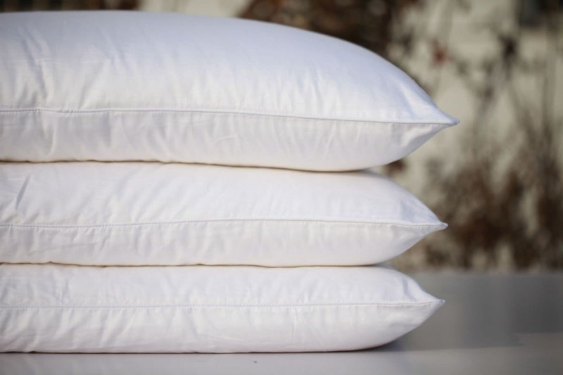 Jedwabna Poduszka 70/80 (Poszycie Bawełniane) 2kg